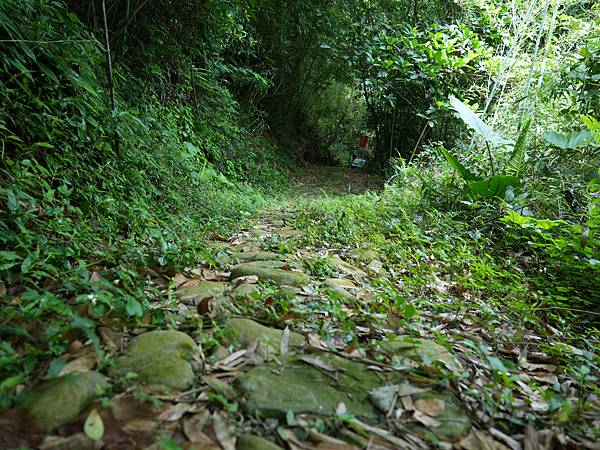 伯公潭古圳道,古圳道路線,大窩地景藝術