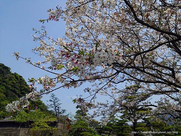 仙嚴園(磯庭園)