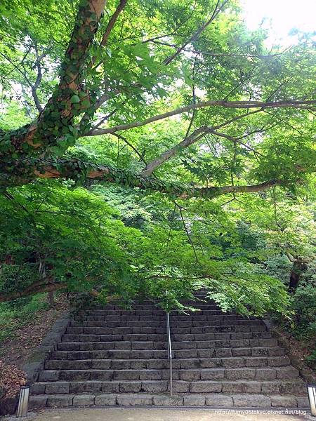 竈門神社