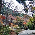 太宰府‧竈門神社賞楓