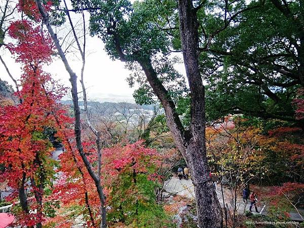 太宰府‧竈門神社賞楓