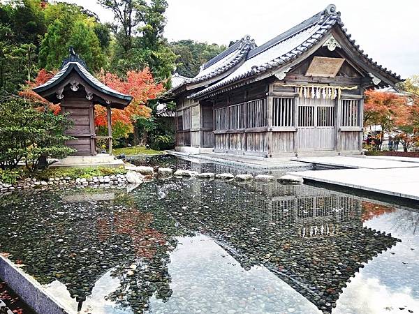 太宰府‧竈門神社賞楓