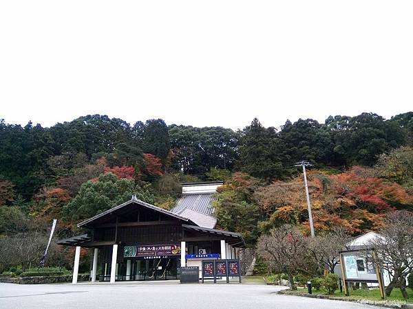 太宰府‧竈門神社賞楓