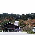 太宰府‧竈門神社賞楓