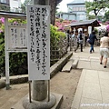 根津神社杜鵑花祭