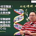 生物洪敬老師影片截圖.jpg