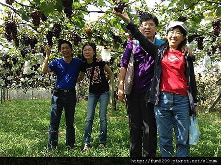 黃先生夫婦與仇先生夫婦在新烽菓園。