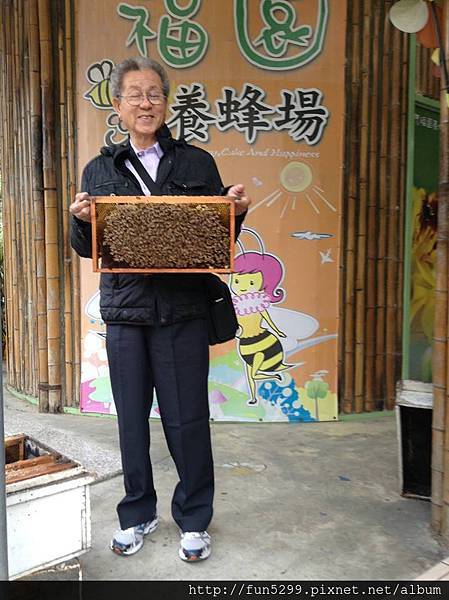 新加坡.卓爸爸在福園養蜂場與蜜蜂合影。
