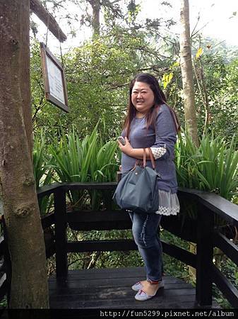 馬來西亞，砂嘮越：張雯欣小姐在薰衣草花園留下美麗的身影