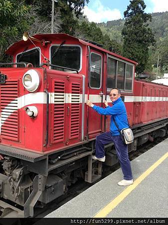 香港：何小姐全家福在阿里山搭森林火車