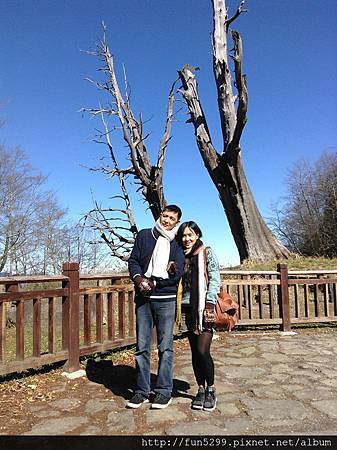 馬來西亞，檳城：張先生夫婦在夫妻樹