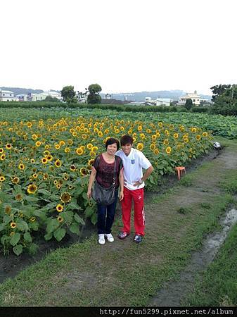 澳門：歐先生全家福在中社花海!