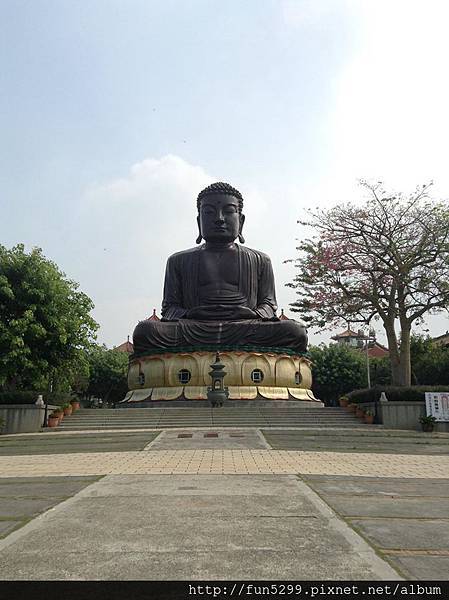 香港-林小姐與張先生在八卦山大佛。