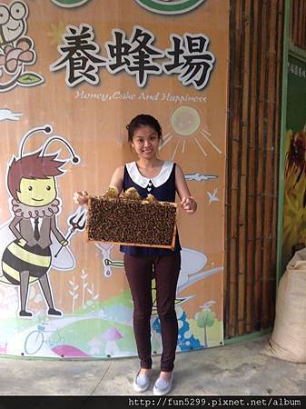馬來西亞吉隆坡：秀云，易發，媽媽，在福園養蜂場
