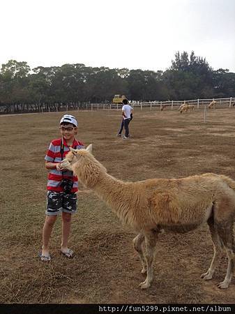 馬來西亞 檳城 謝氏姊妹家族旅遊~在天馬牧場。