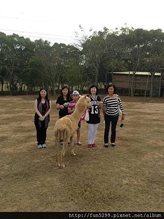 馬來西亞 檳城 謝氏姊妹家族旅遊~在天馬牧場