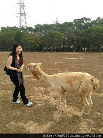 馬來西亞 檳城 謝氏姊妹家族旅遊~在天馬牧場~