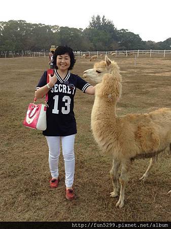 馬來西亞 檳城 謝氏姊妹家族旅遊~在天馬牧場~~!