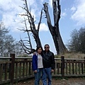 馬來西亞-吉隆坡~美儀全家福~在夫妻樹。