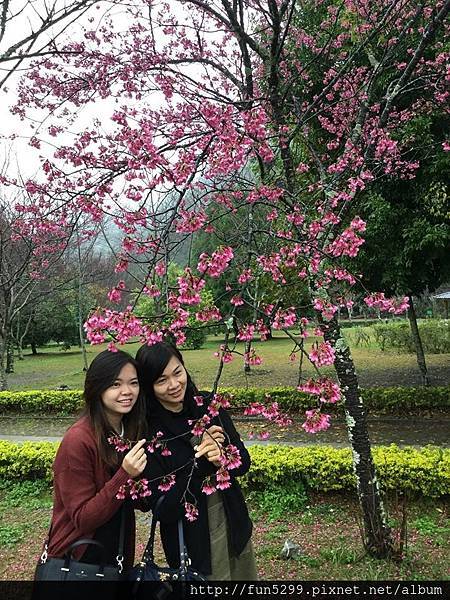 馬來西亞 吉打 陳小姐與爸爸、媽媽~在奧萬大森林國家公園~