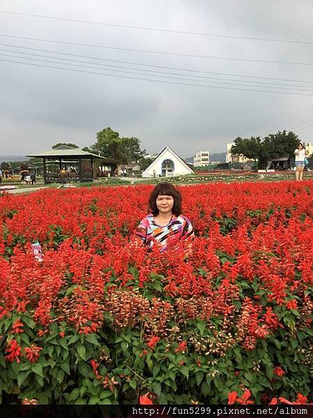 馬來西亞-吉隆坡 王先生與黎女士~在中社花海~!