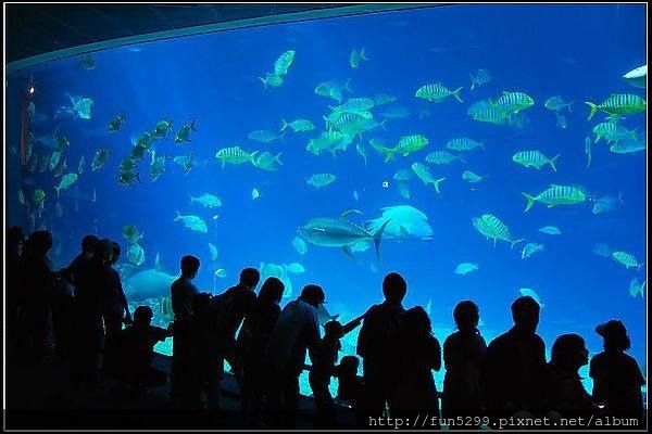 新加坡 素燕、素玲、爸爸，在海洋生物博物館。