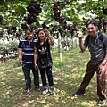 汶萊 李小姐夫婦、葉先生夫婦，在新峰農場採葡萄~!