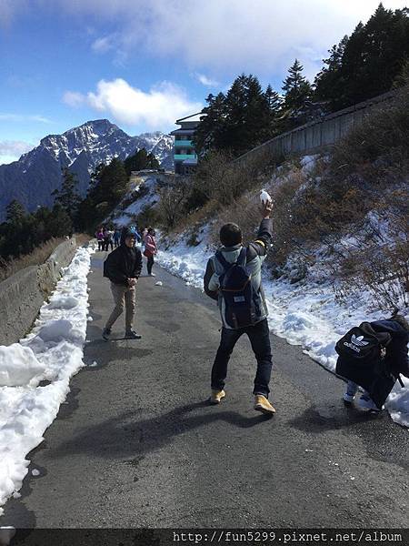 新加坡 陳先生全家福~在合歡山!!!