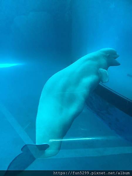 新加坡 陳先生全家福~在屏東國立海洋生物博物館5.jpg