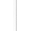 Apple Pencil.jpg