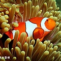 GBR photo-029.jpg