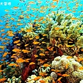 GBR photo-107.jpg