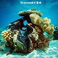 GBR photo-201.jpg