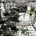 _MG_6641.jpg