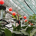 _MG_6768.jpg