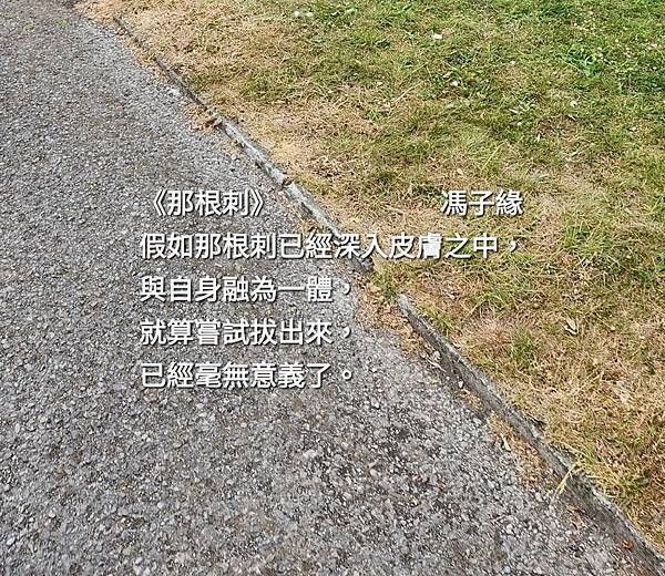 《情感語錄》之《那根刺》