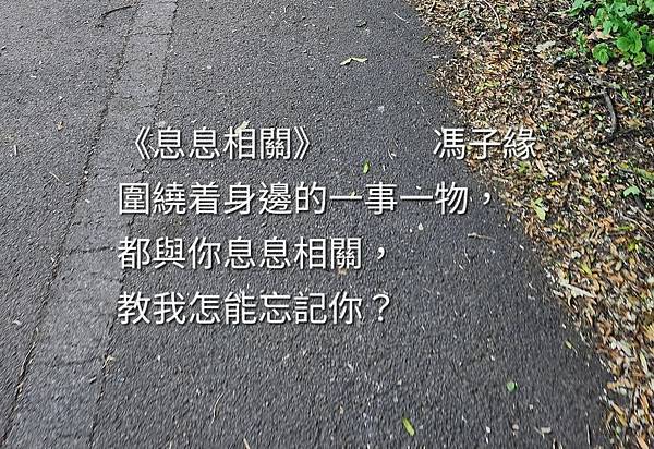 《情感語錄》之《息息相關》