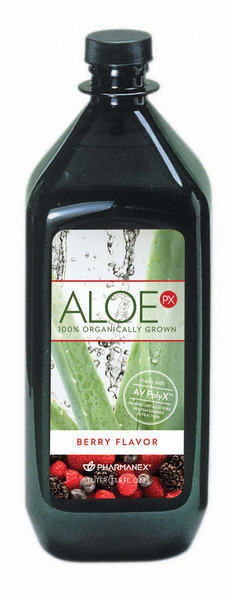 aloe%20px.jpg