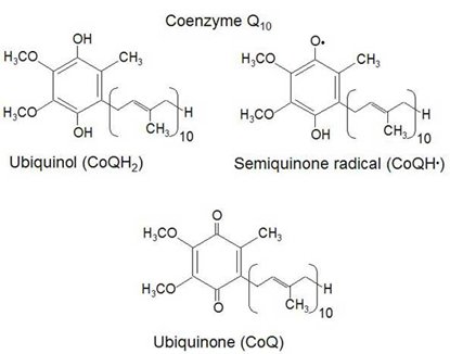 Q10-fig1.jpg