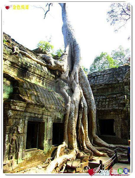 金色吳哥-塔普倫廟TaProhm-03