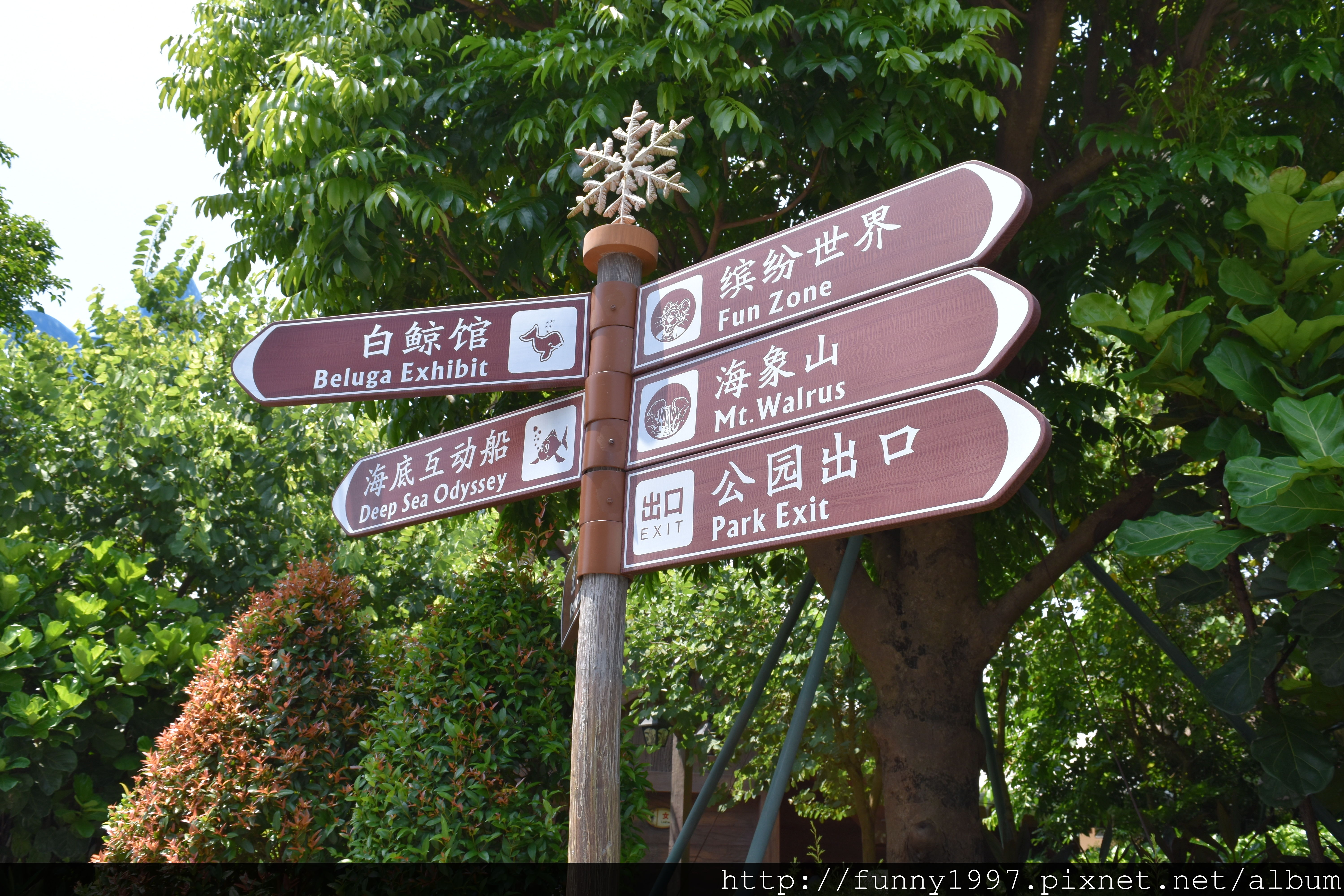DSC_0523.JPG DSC_0523.JPG