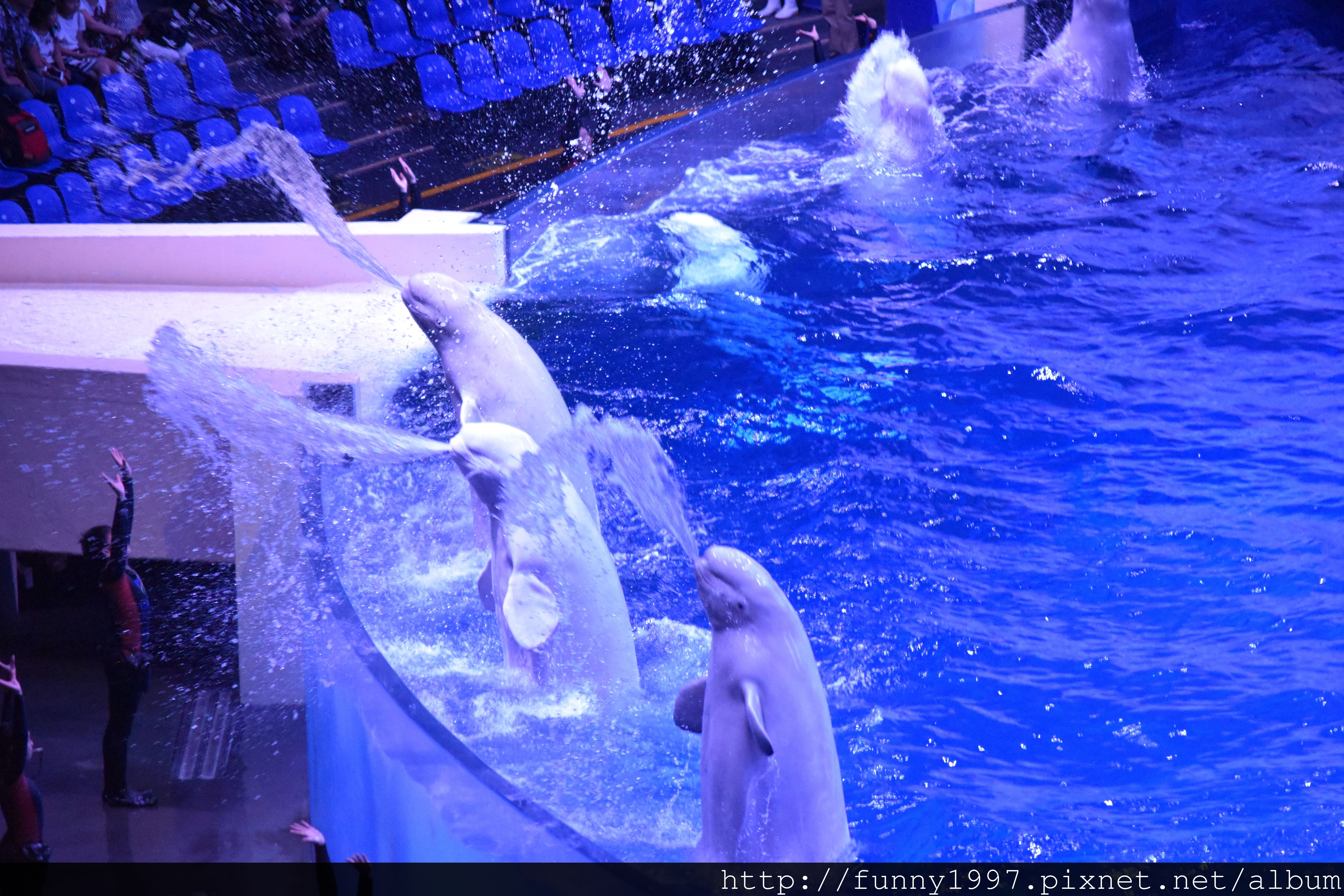DSC_0556.JPG DSC_0556.JPG