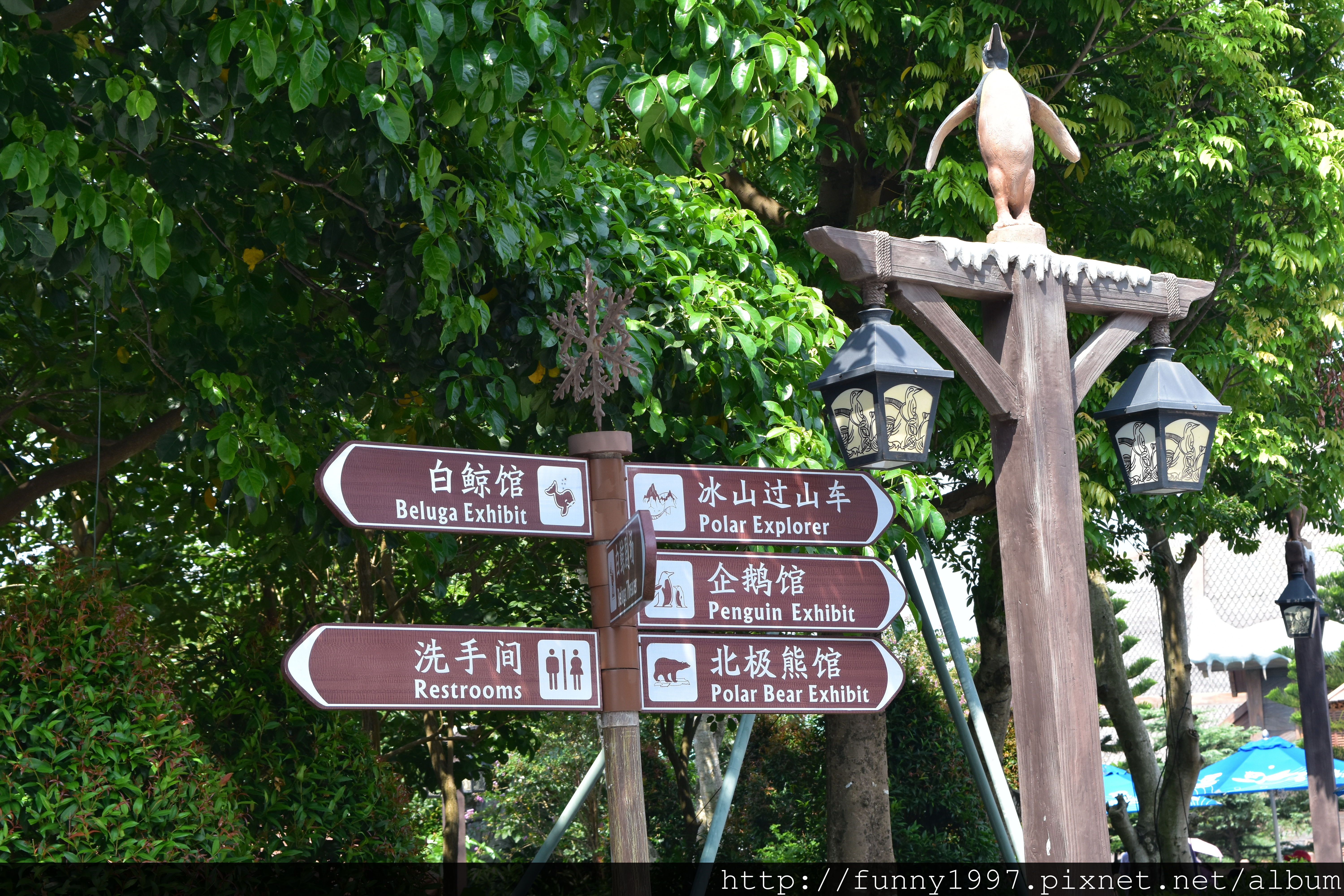 DSC_0616.JPG DSC_0616.JPG