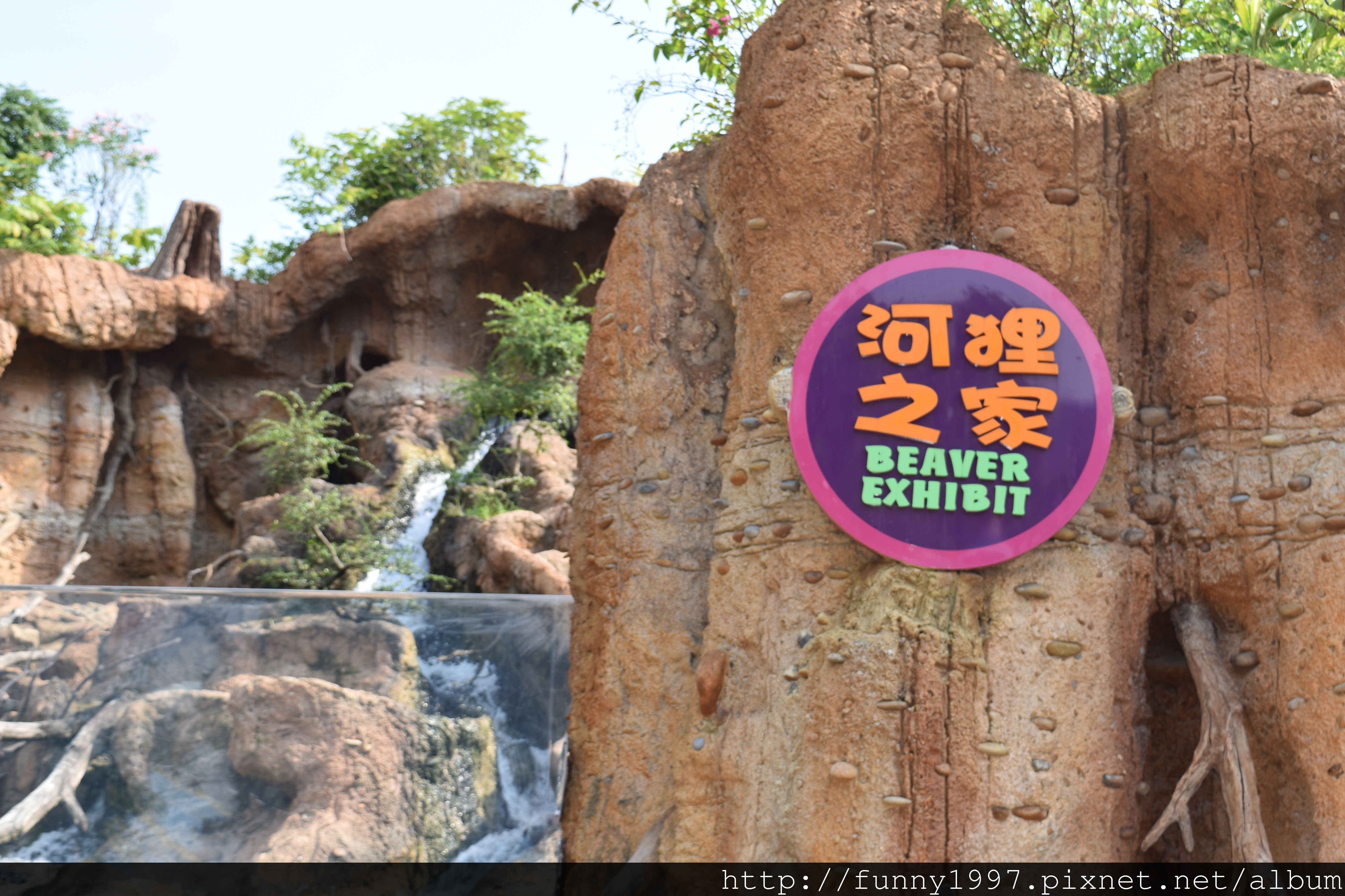 DSC_0789.JPG DSC_0789.JPG