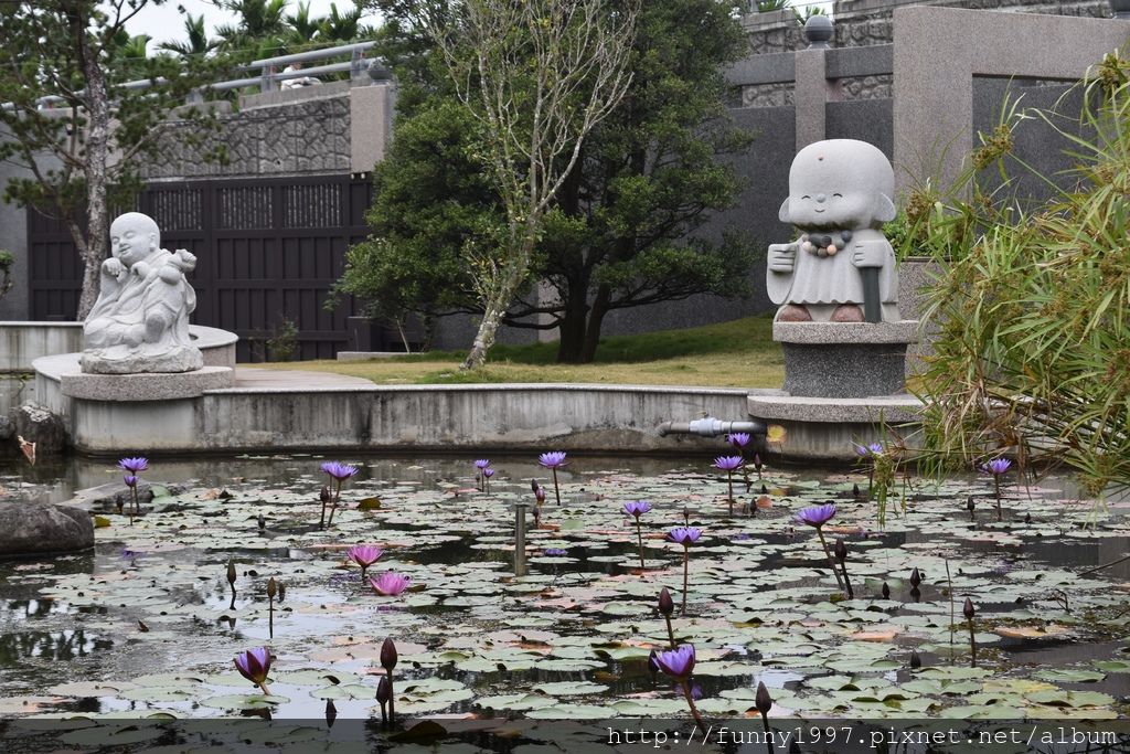 屏東萬巒吊橋,佛恩寺,小沙彌石像,蓮花池,日本風格,六牙白象,鐘樓,拍照