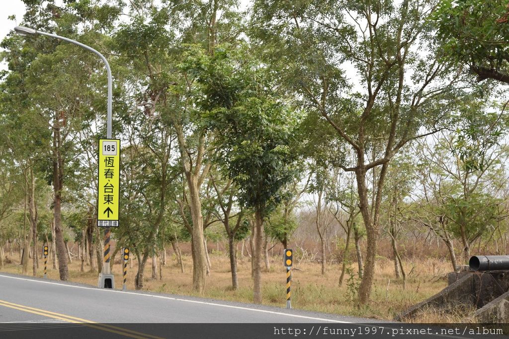 DSC_0587.JPG DSC_0587.JPG