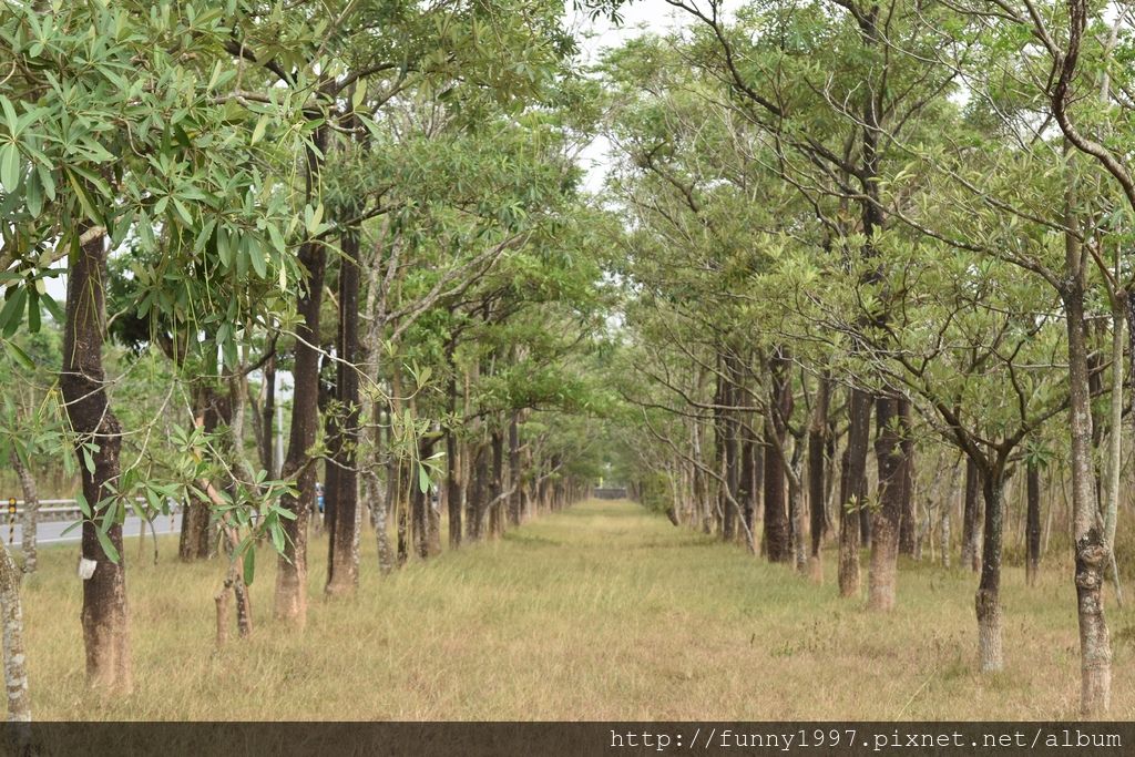 DSC_0584.JPG DSC_0584.JPG