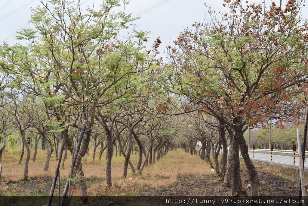 DSC_0594.JPG DSC_0594.JPG