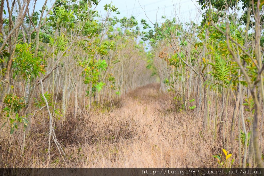 DSC_0549.JPG DSC_0549.JPG