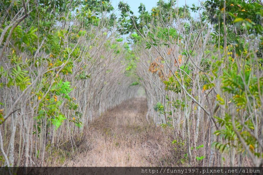 DSC_0562.JPG DSC_0562.JPG